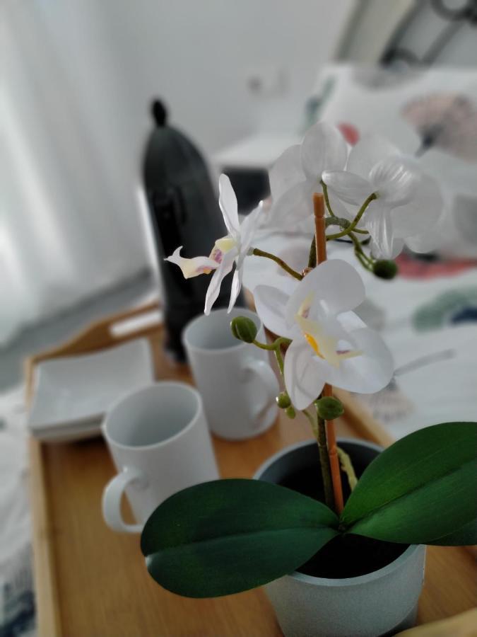 Apartament Precioso Loft En Conil De La Frontera Zewnętrze zdjęcie